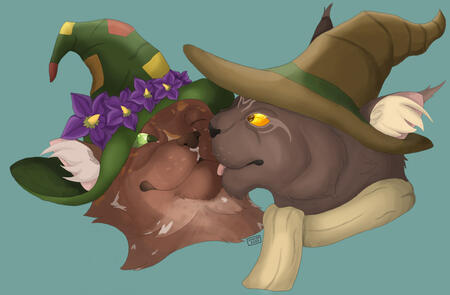 Two cats in wizard cats, one is licking the other's cheek